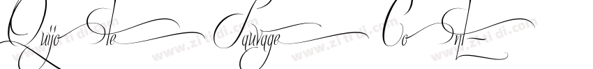 Quijote Sauvage Cont字体转换